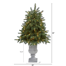 Load image into Gallery viewer, 3.5&#39; South Carolina Spruce Artificial Christmas Tree w/ 100 White Warm Light
