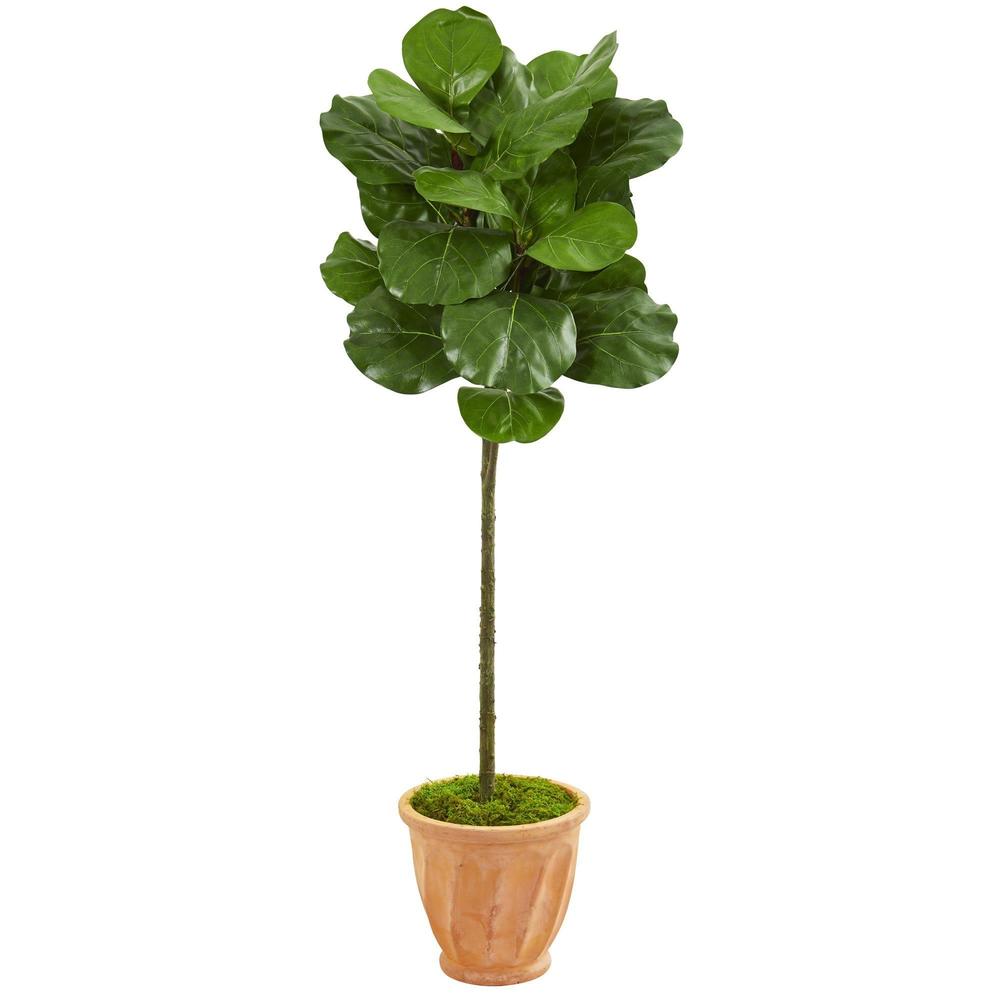 57' Fiddle Leaf Artificial Tree in Terra Cotta Planter