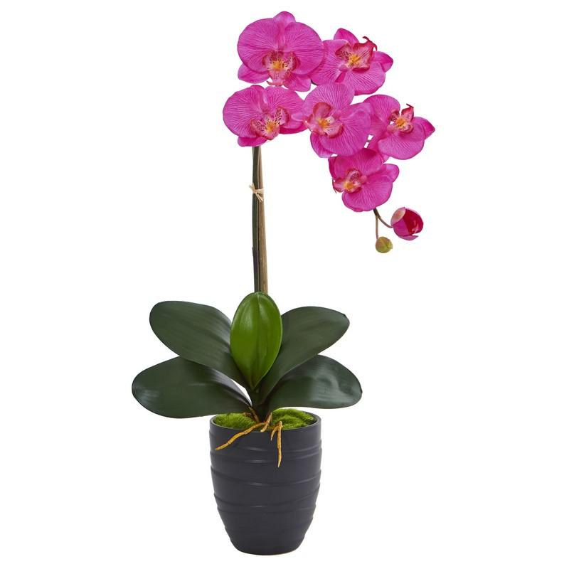 Phalaenopsis Orchid Artificial Arrangement in Black Vase