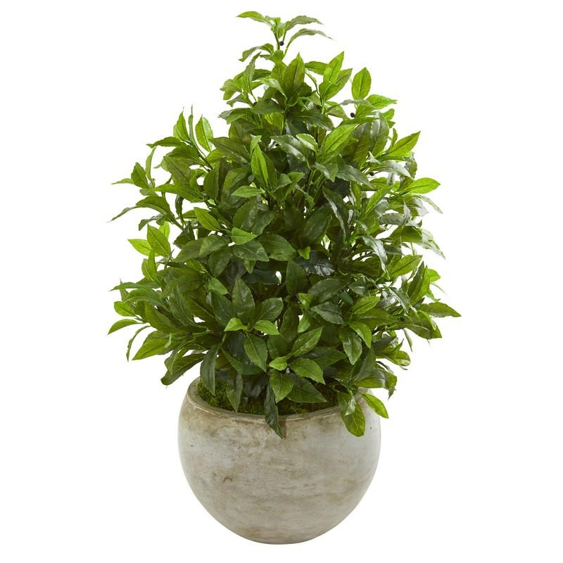 30' Coffee Leaf Artificial Plant in Sandstone Bowl (Real Touch)