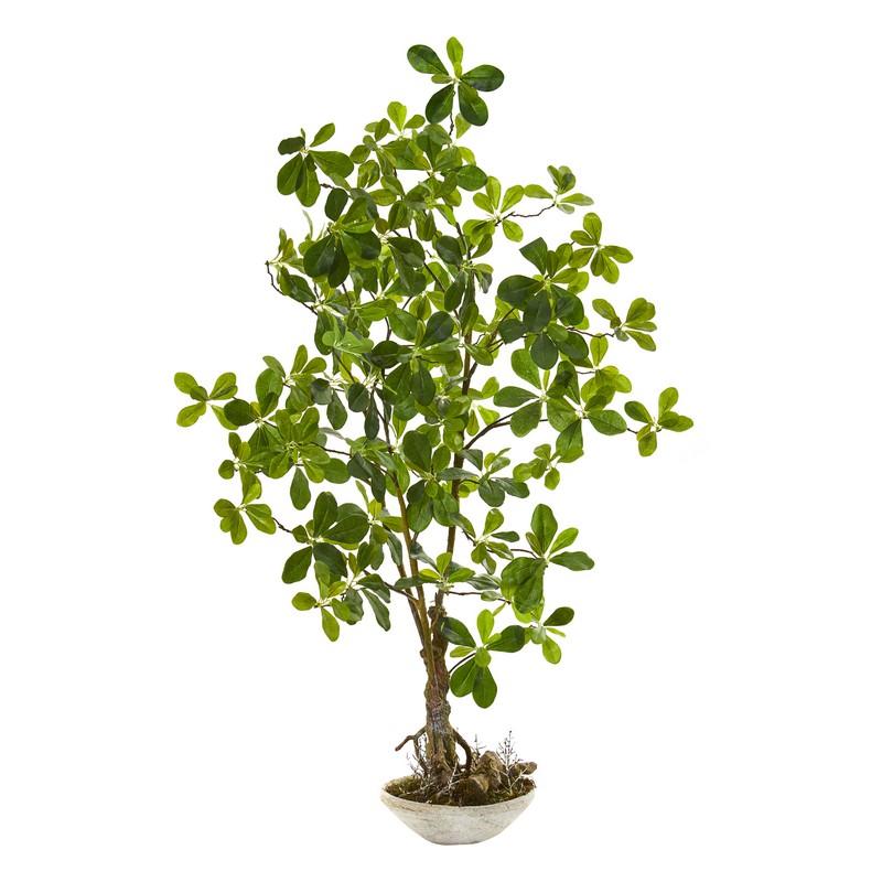 4' Schefflera Bonsai Artificial Plant in Planter