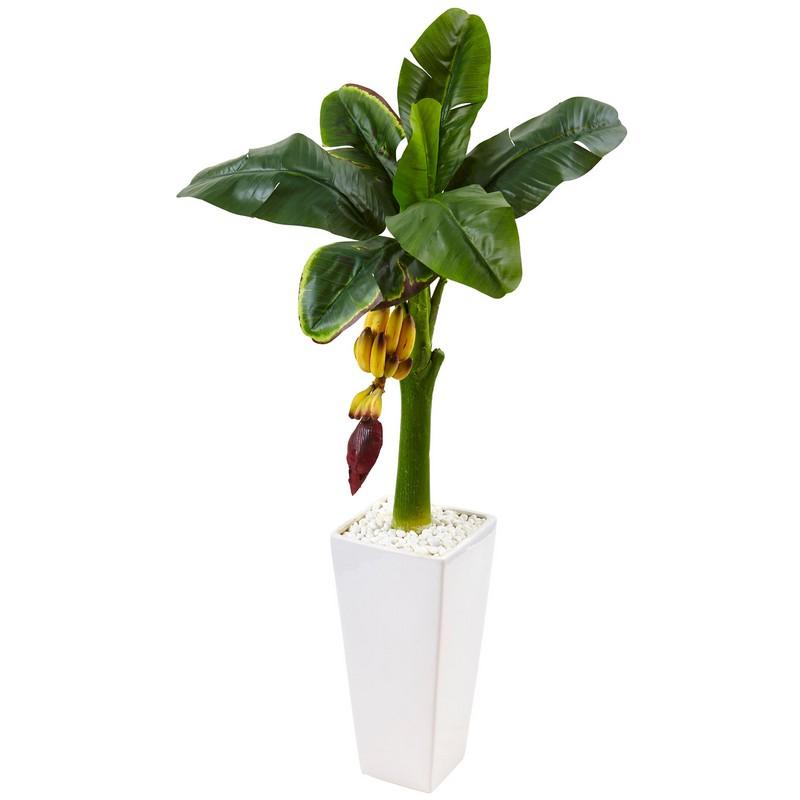 3.5' Banana Tree in White Tower Vase