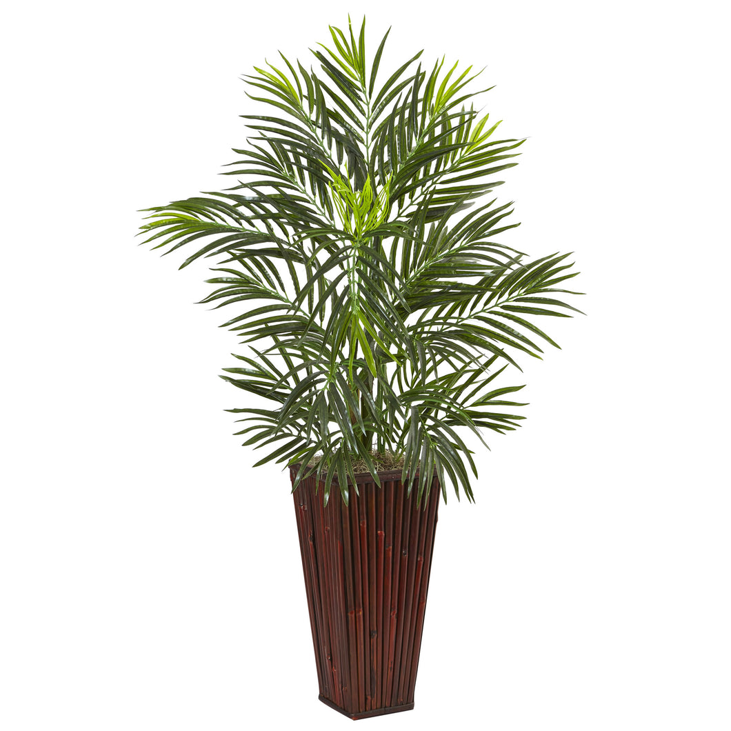 Areca Palm in Bamboo Planter