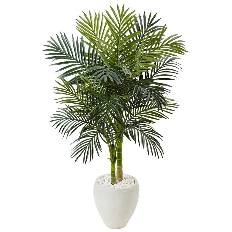 4.5' Golden Cane Palm Tree in White Oval Planter
