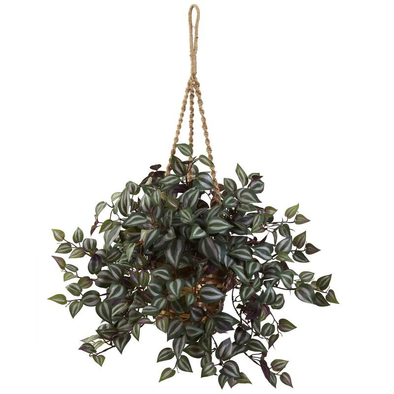 Wandering Jew Hanging Basket 6854 By Nearly Natural