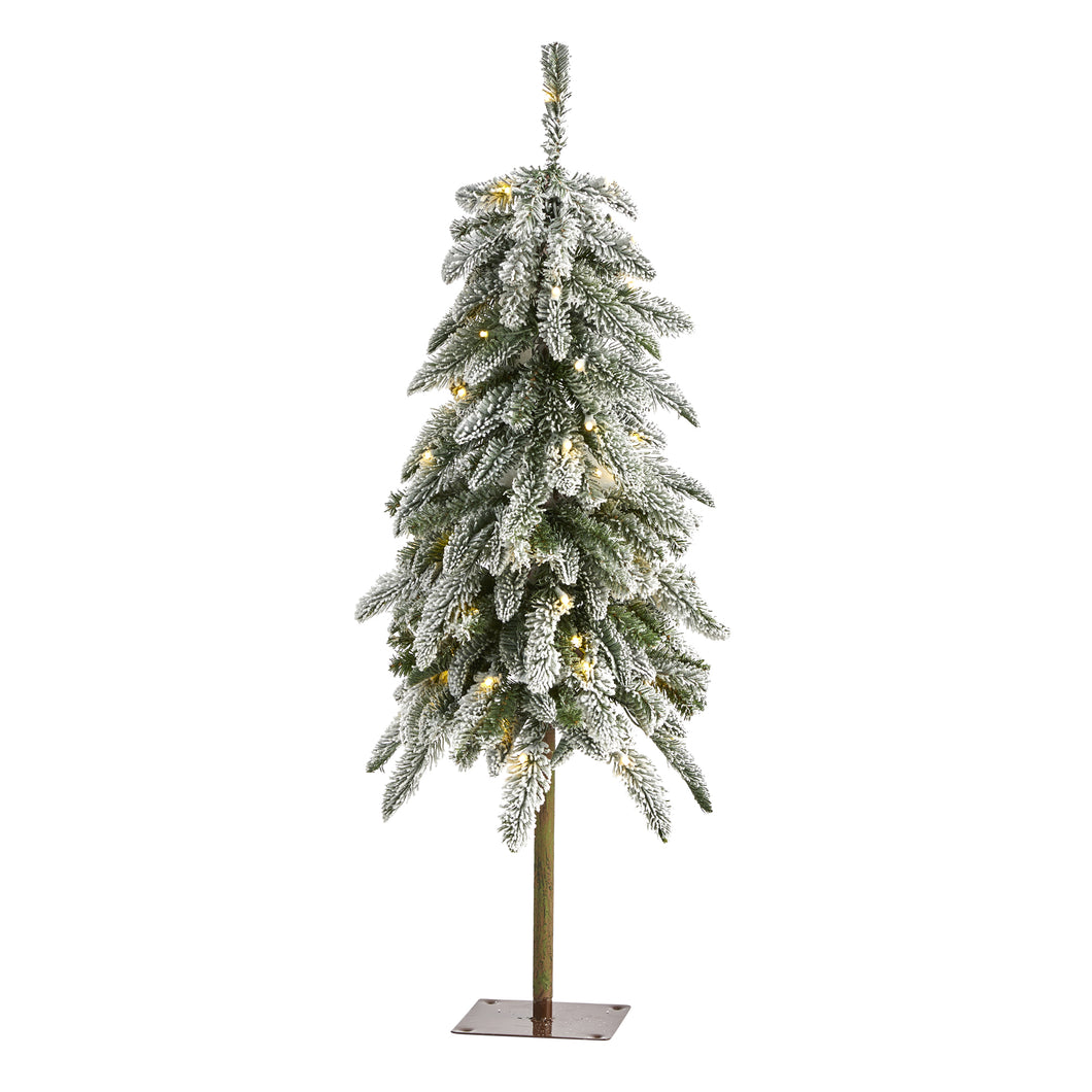 3.5' Flocked Washington Alpine Christmas Tree with 50 White Warm LED lights