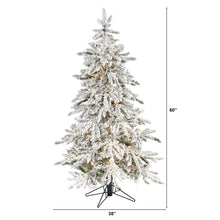 Load image into Gallery viewer, 5&#39; Flocked Gr&amp; Northern Rocky Fir Artificial Christmas Tree
