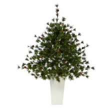 Load image into Gallery viewer, 44' Colorado Mountain Pine Artificial Christmas Tree w/ 50 Clear Lights

