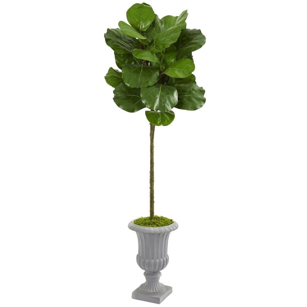 63' Fiddle Leaf Artificial Tree in Decorative Urn