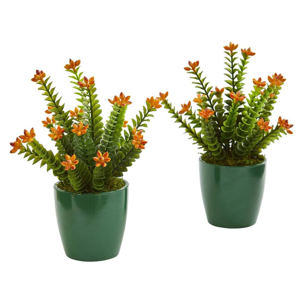 Sedum Succulent Artificial Plant in Green Planter (Set of 2)