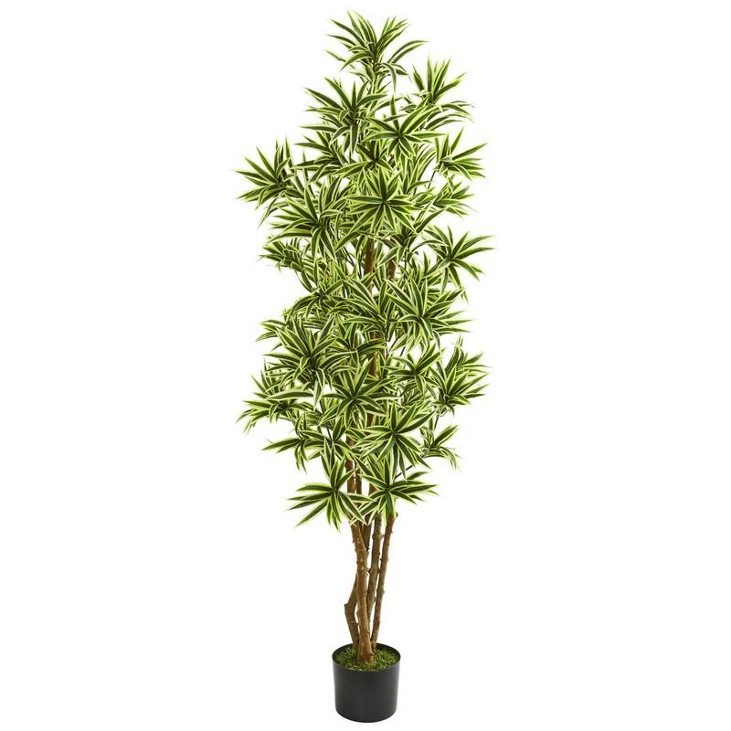 6' Dracaena Reflexa Artificial Plant