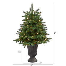 Load image into Gallery viewer, 3.5&#39; South Carolina Spruce Artificial Christmas Tree w/ 100 White Warm Light
