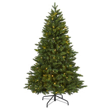 Load image into Gallery viewer, 5&#39; New Hampshire Fir Artificial Christmas Tree with 150 LED Lights
