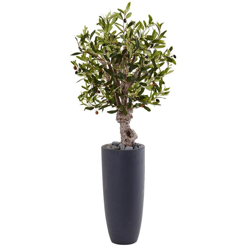 3.5' Olive Tree in Gray Cylinder Planter