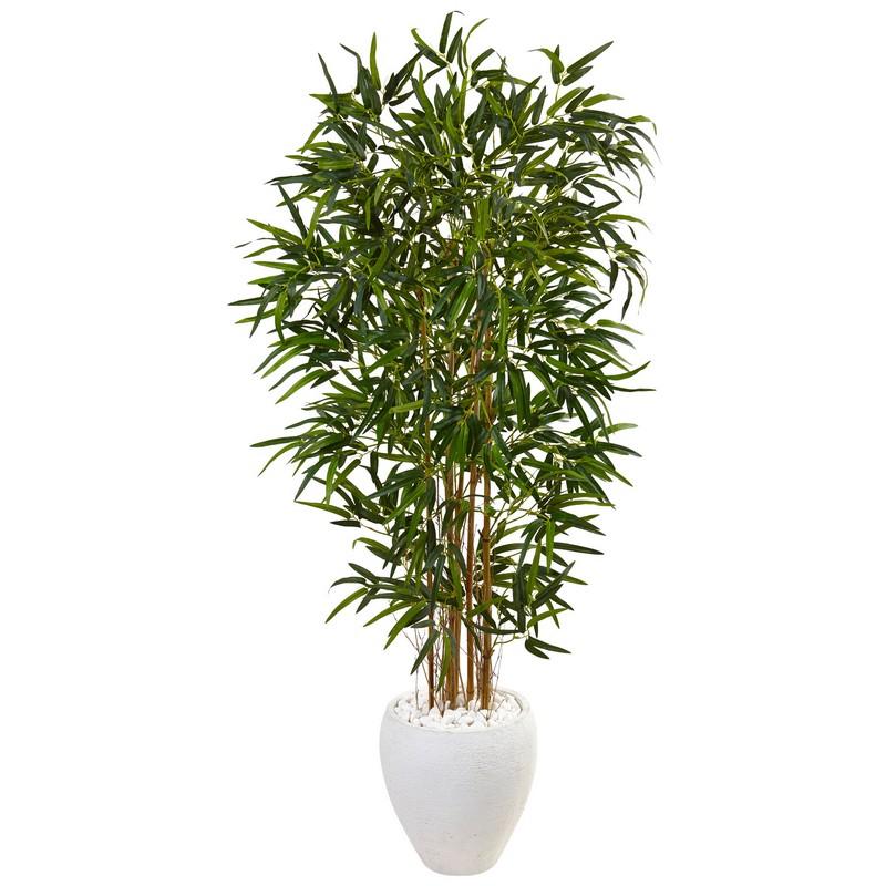 5' Bamboo Tree in Oval White Planter