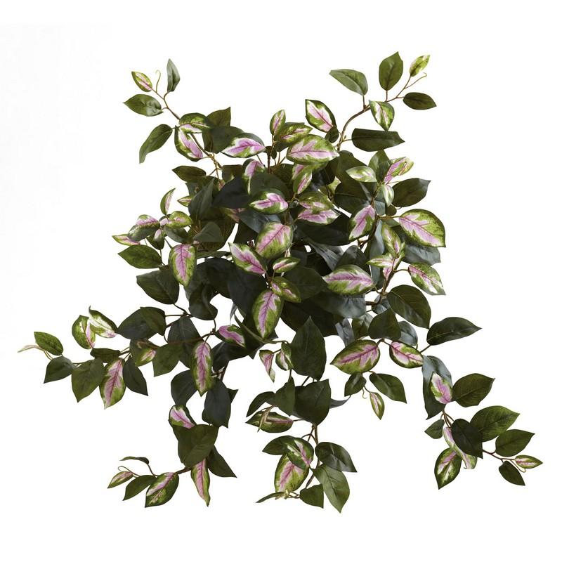 Hoya Hanging Bush (Set of 4)