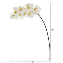 Load image into Gallery viewer, 34&quot; Phalaenopsis Orchid Artificial Flower (Set of 6)

