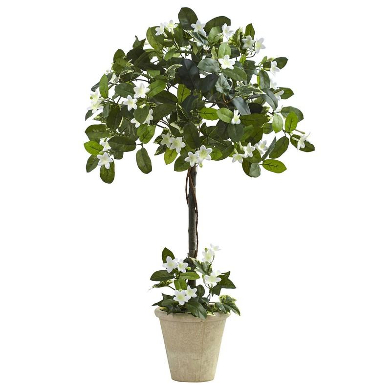 3' Stephanotis Topiary w/Planter