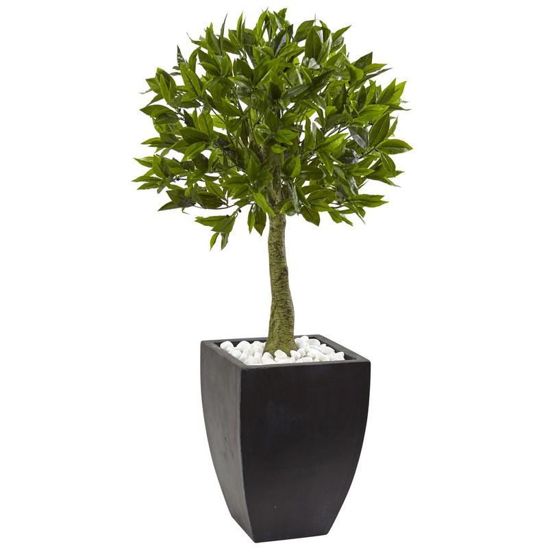 Bay Leaf Topiary With Black Wash Planter Uv Resistant (Indoor/Outdoor)