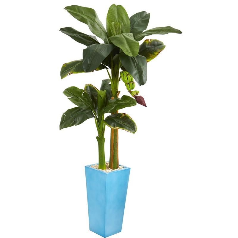 5.5' Banana Artificial Tree in Turquoise Tower Vase