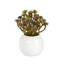 Load image into Gallery viewer, 7&quot; Sedum Succulent Artificial Plant in White Planter

