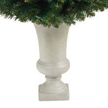 Load image into Gallery viewer, 3.5&#39; Northern Rocky Spruce Artificial Christmas Tree w/ 50 Clear Lights
