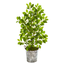 Load image into Gallery viewer, 37" Mini Ficus Artificial Tree in White Washed Vintage Metal Pail
