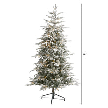 Load image into Gallery viewer, 6.5&#39; Flocked Manchester Spruce Artificial Christmas Tree with 300 Lights
