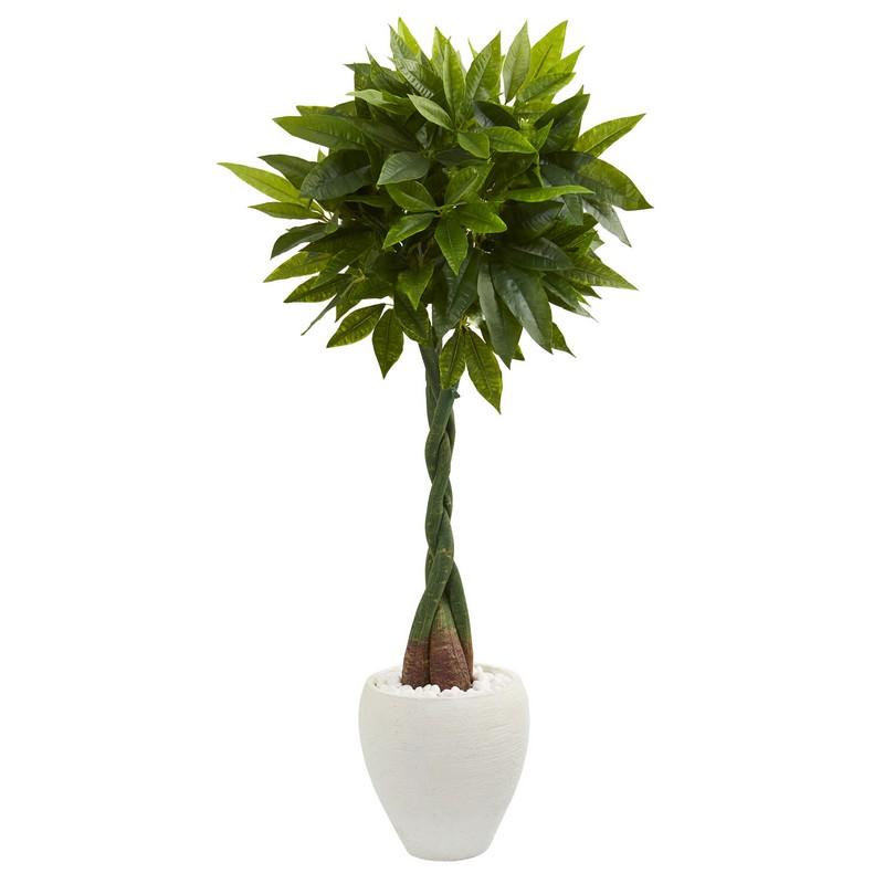 5' Money Artificial Tree in White Oval Planter (Real Touch