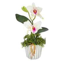 Load image into Gallery viewer, 13&quot; Mini Orchid Cattleya Artificial Arrangement in White Vase w/Silver Trimming
