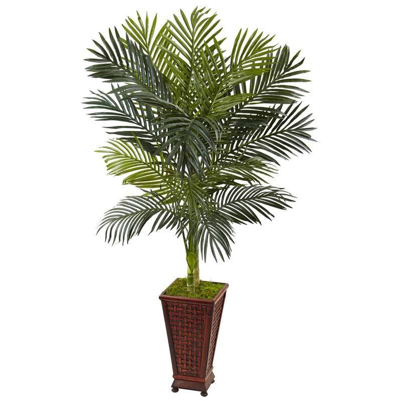 5' Golden Cane Palm Tree in Decorative Planter