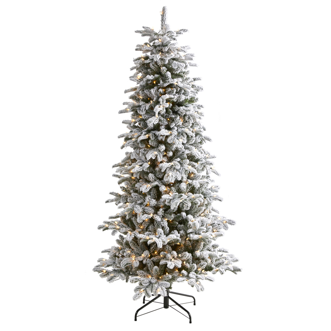 7' Flocked North Carolina Fir Artificial Christmas Tree w550 Warm White Lights