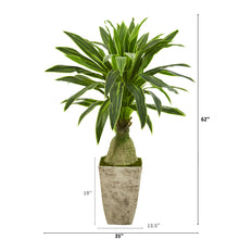 Load image into Gallery viewer, 62&quot; Dracaena Artificial Plant in Country White Planter
