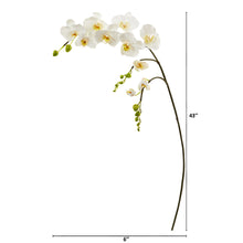 Load image into Gallery viewer, 43&quot; Phalaenopsis Orchid Artificial Flower (Set of 6)
