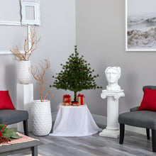 Load image into Gallery viewer, 3' Colorado Mountain Pine Artificial Christmas Tree w/ 50 Clear Lights
