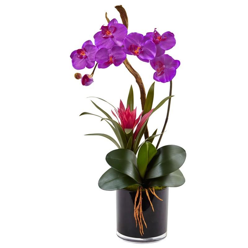 Orchid and Bromeliad in Glossy Black Cylinder