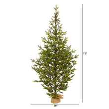 Load image into Gallery viewer, 6&#39; Fraser Fir &quot;Natural Look&quot; Artificial Christmas Tree
