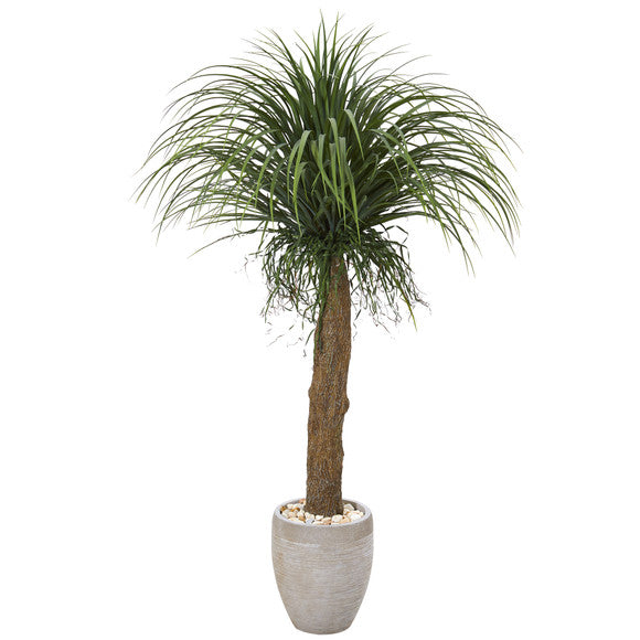 5' Pony Tail Palm Artificial Plant in Sand Colored Planter