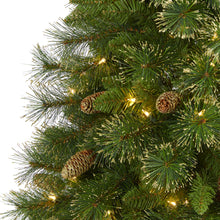 Load image into Gallery viewer, 6' Golden Tip Washington Pine Artificial Christmas Tree with 250 Clear Lights
