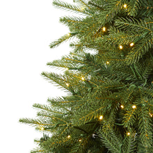 Load image into Gallery viewer, 7.5&#39; Vancouver Fir &#39;Natural Look&#39; Artificial Christmas Tree w/ 600 Clear LED
