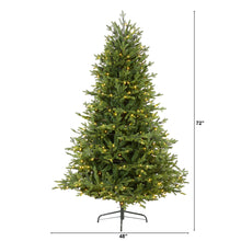 Load image into Gallery viewer, 6&#39; Wyoming Spruce Artificial Christmas Tree w/ 400 Clear LED Lights
