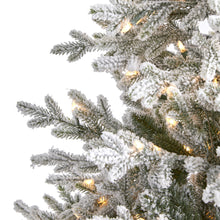 Load image into Gallery viewer, 6&#39; Flocked Fraser Fir Artificial Christmas Tree with 500 Warm White Lights
