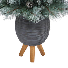 Load image into Gallery viewer, 3.5&#39; Frosted Tip British Columbia Mountain Pine Artificial Christmas Tree
