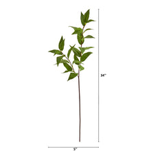 Load image into Gallery viewer, 34&quot; Laurel Leaf Artificial Spray (Set of 6)
