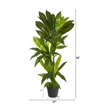 Load image into Gallery viewer, 3&#39; Dracaena Artificial Plant (Real Touch)
