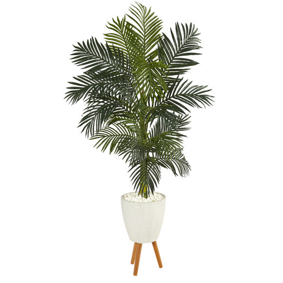 6' Golden Cane Artificial Palm Tree in White Planter with Stand