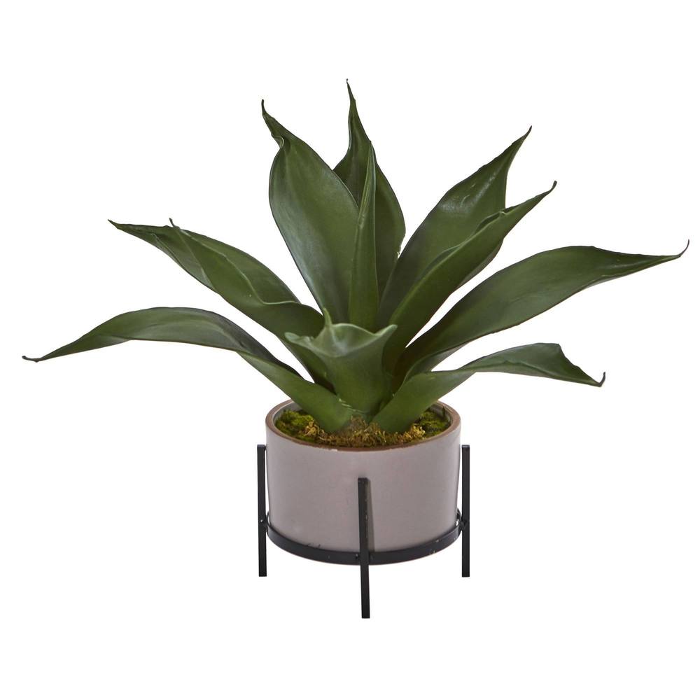 14'' Agave Succulent in Decorative Planter