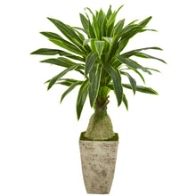 Load image into Gallery viewer, 62&quot; Dracaena Artificial Plant in Country White Planter
