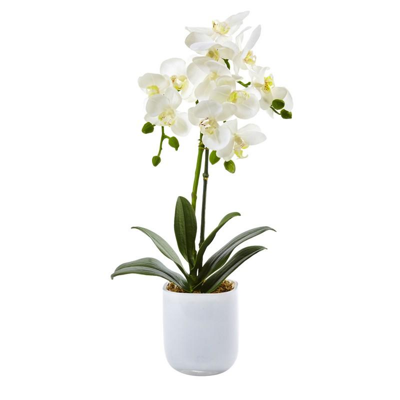 Phalaenopsis In Frosted Glass 4571 By Nearly Natural