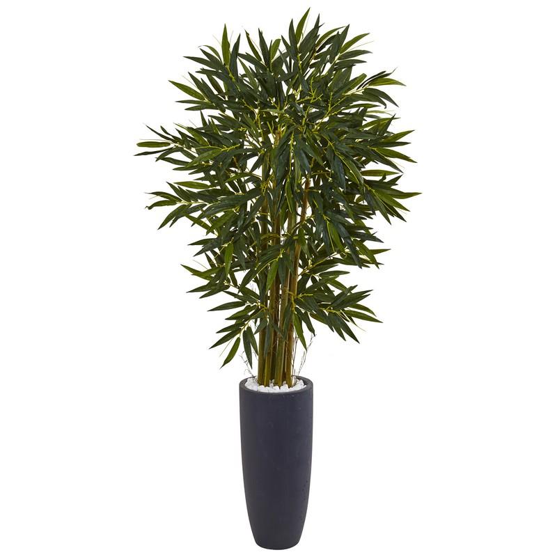 6.5' Bamboo Tree in Gray Cylinder Planter